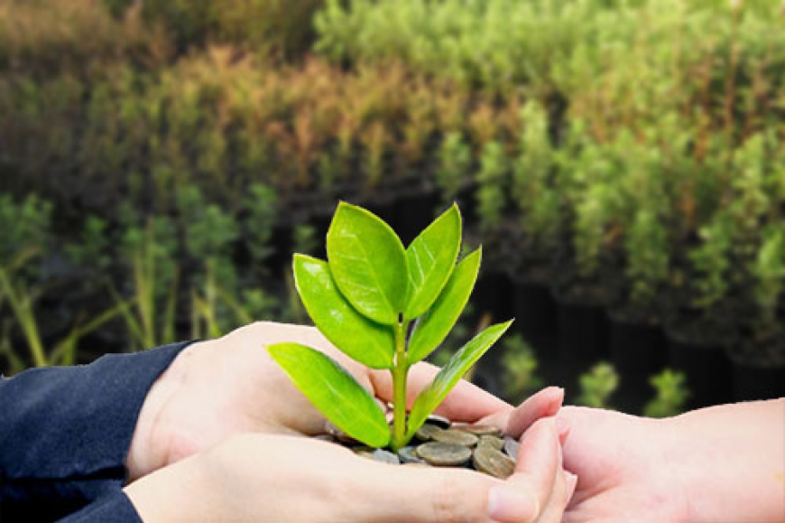 Design and Consulting