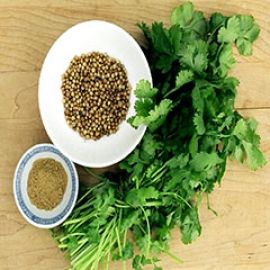 15 Top Benefits Of Coriander