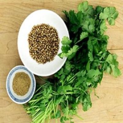 15 Top Benefits Of Coriander