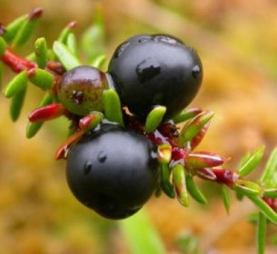 45746380ec4ed5a02ff7f48215eb8d14