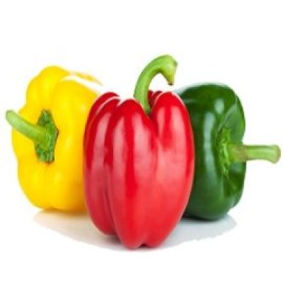 Capsicum