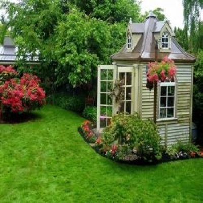 Essential advice to protect your garden from diseases