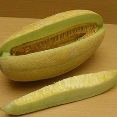 Melon