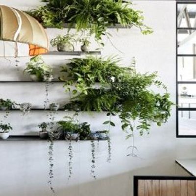 Tips for Maintaining Indoor Plants