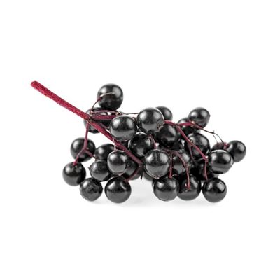 baies-de-sureau-large